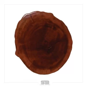 Mesa Resinada de Centro/ Cabeceira TALLINN - Madeira Maciça e Pés de ferro Diâmetro 48 CM 