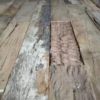 REVESTIMENTO DE MADEIRA DE DEMOLIÇÃO RÚSTICO (SEM TINTAS) VALOR P/ M²